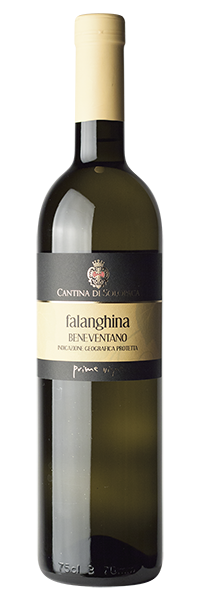 FALANGHINA IGP – Linea Prime Vigne