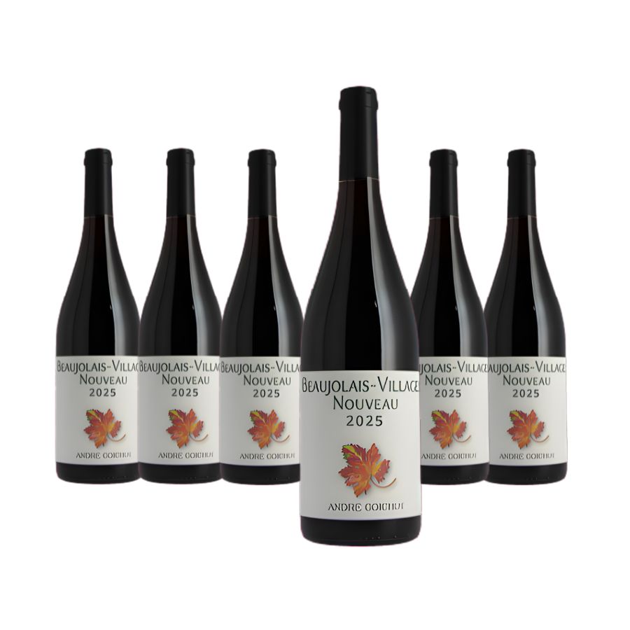 6 BT BEAUJOLAIS VILLAGES NOUVEAU 2025