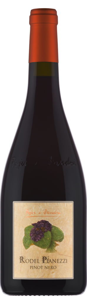PINOT NERO RISERVA RODEL PIANEZZI