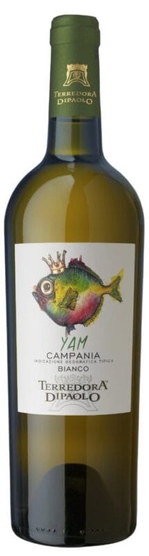YAM CAMPANIA BIANCO IGT