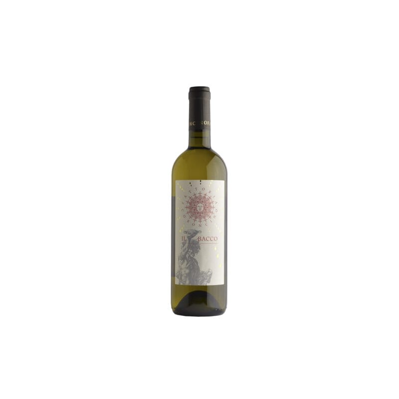 Verdicchio “Il Bacco” Fattoria Coroncino